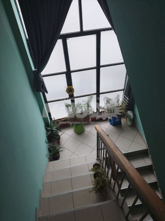  Prodaje se kuća u Batajnici – ul. Milice Rakić — 14