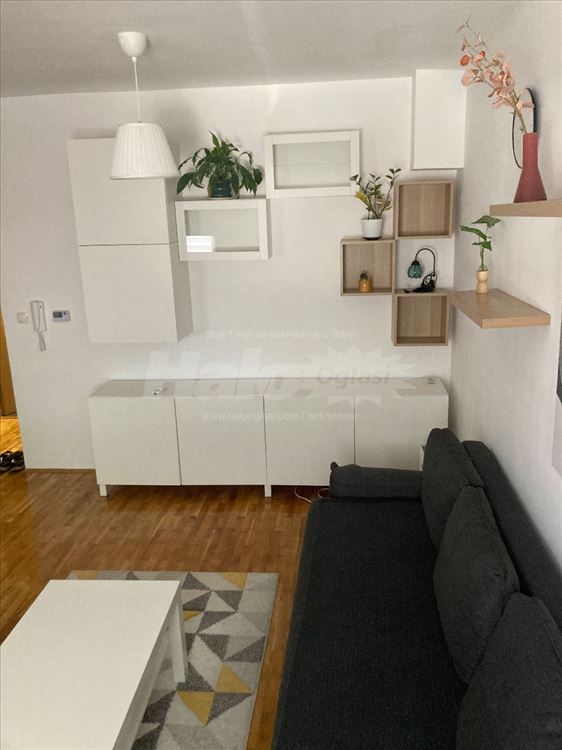 1.5 stan u Višnjičkoj banji — 7