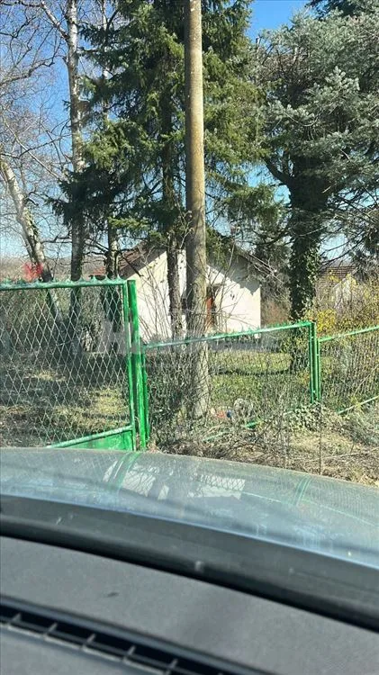 31,5 ari placa + kuća 90m2 Kosmaj — 3
