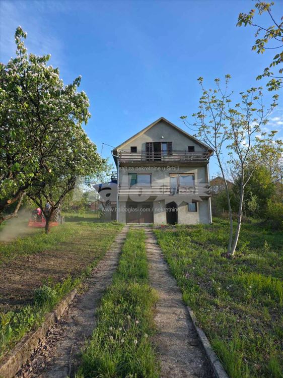 Avala ripanj — 4