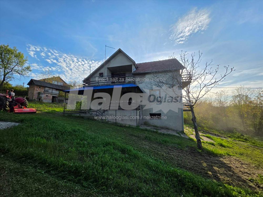 Avala ripanj — 5