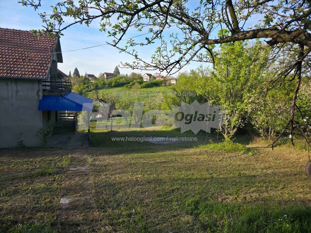 Avala ripanj — 10
