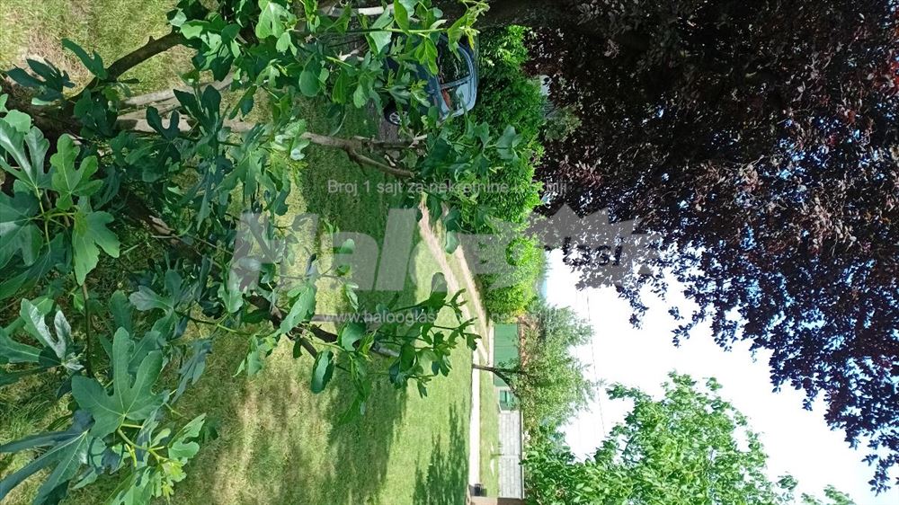 Avala,uknjizenih 200m2 KP 4823/3 Ripanj — 3