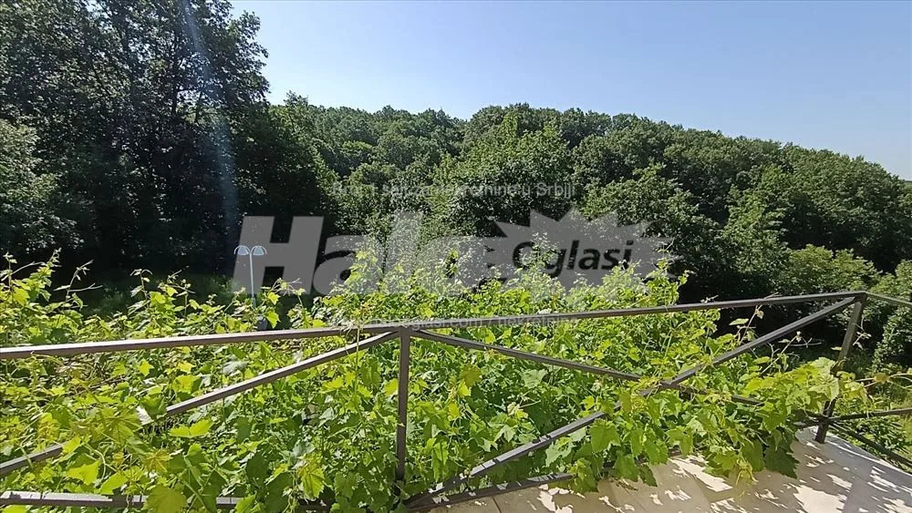 Babe kuća sa 21 ari placa — 6