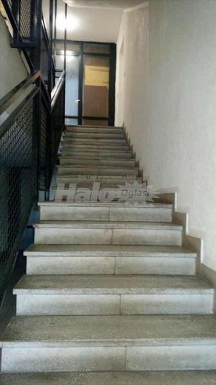 Banovo brdo, na domak Ada Mall-a, Ade Ciganlije. — 15