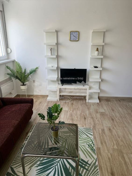 Banovo brdo,Kijevska-renoviran,namešten stan22m2 — 7