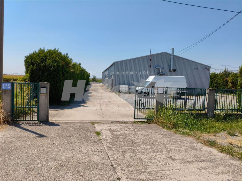 Batajnica 195m2 + 10ari — 8