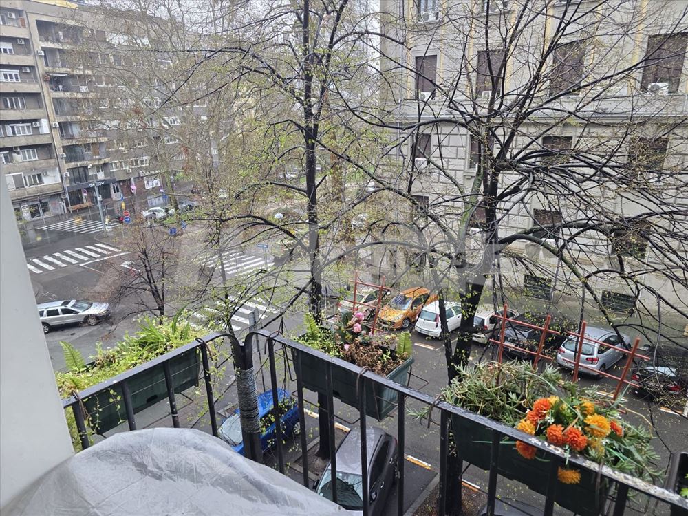 Beograd - Opština Savski venac - Birčaninova — 8