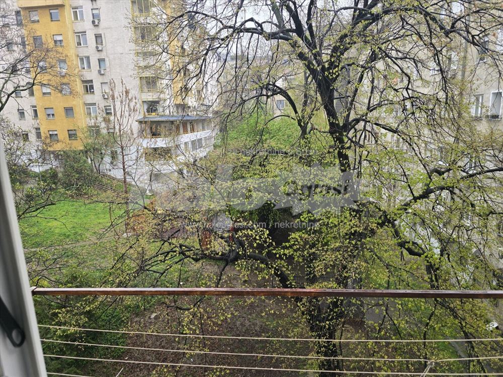 Beograd - Opština Savski venac - Birčaninova — 13