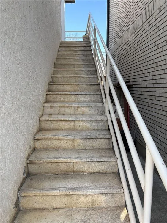 Borča (Centar 1) — 11