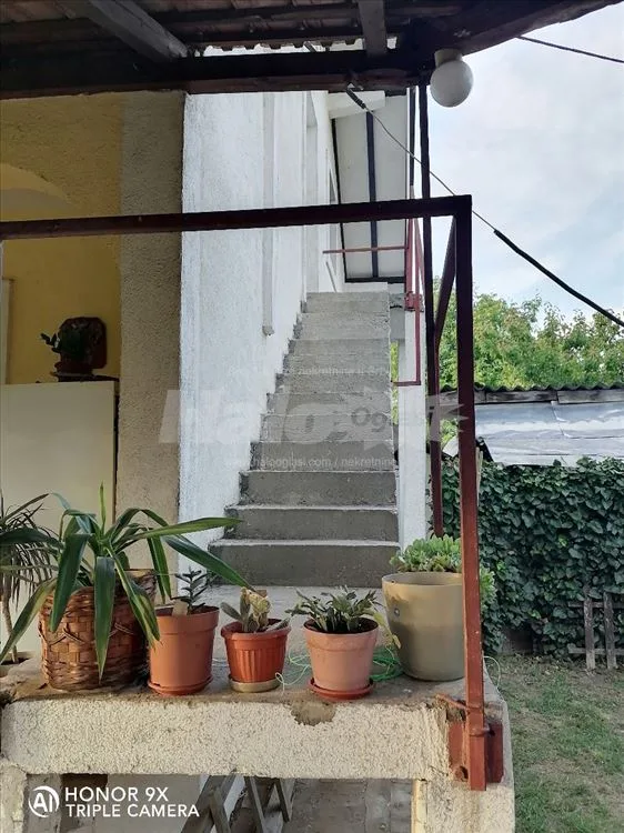 Borča, Palilula, Beograd — 7