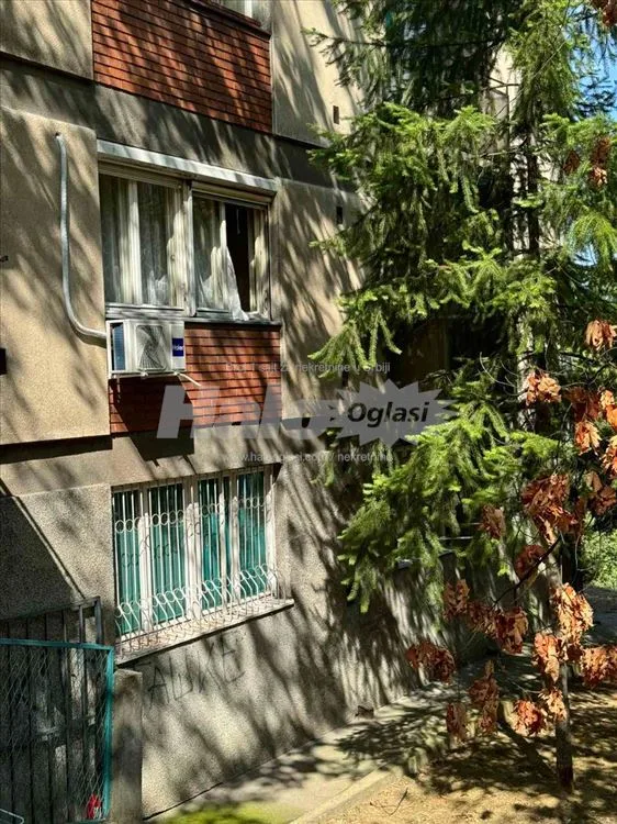 Borska ulica, uknjizen stan 72kv — 2
