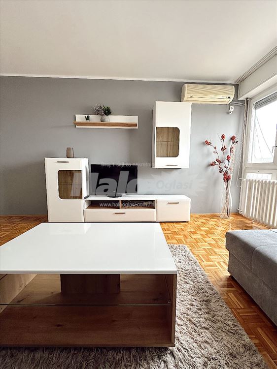 Botanička bašta, dvoiposoban stan 56m2 namešten — 2