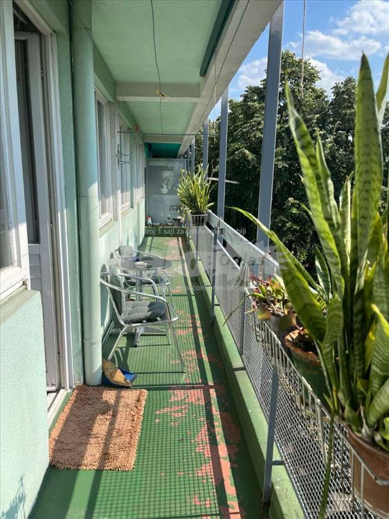 Brace jerkovic 55m2+12m terasa namesten — 7