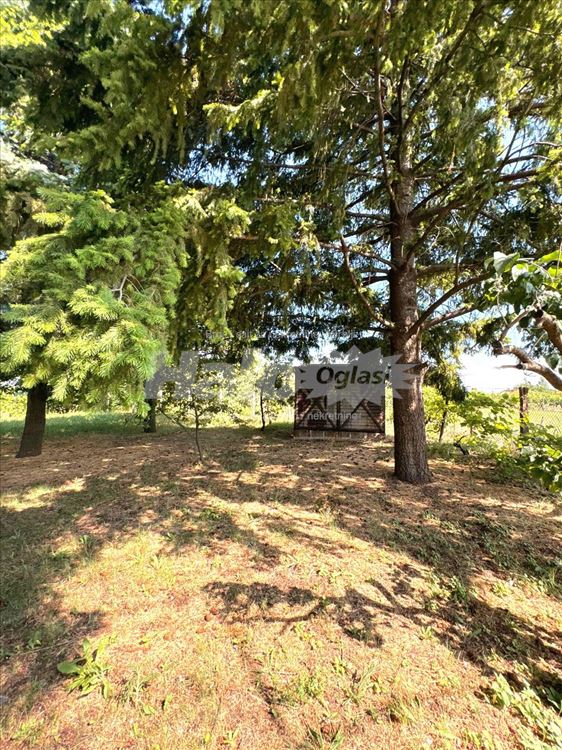Brestovik brdo: Odlična kuća sa pogledom na Dunav — 4