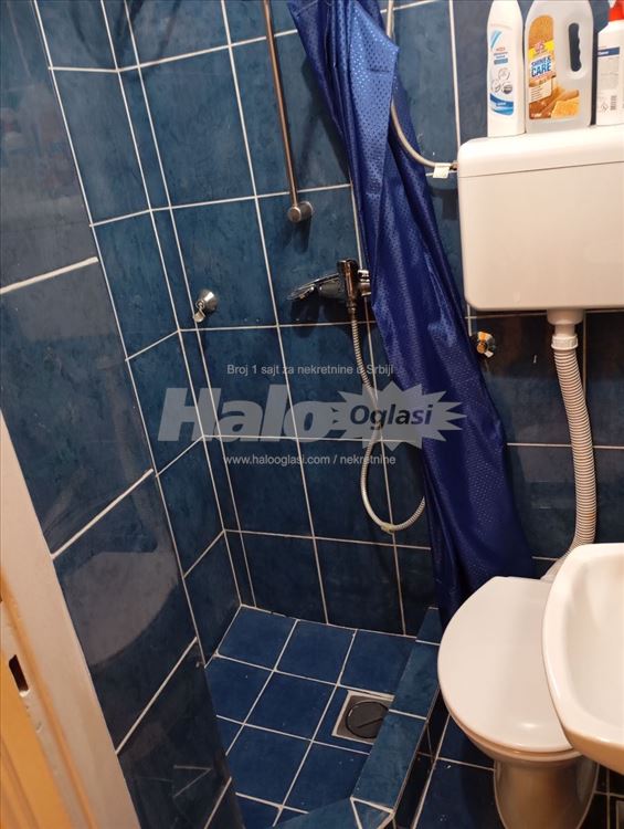 Centar Beogradjanka 0641116765 Vlasnik — 7