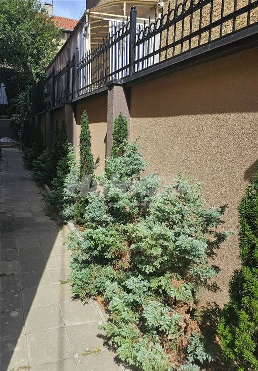 CRVENI KRST, 61 m2, 1. sprat, terasa, dvorište — 3