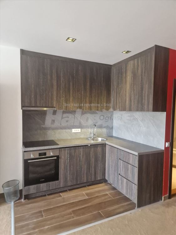 Dedinje-duplex 150m2, dvorište sa bazenom, garaža — 3
