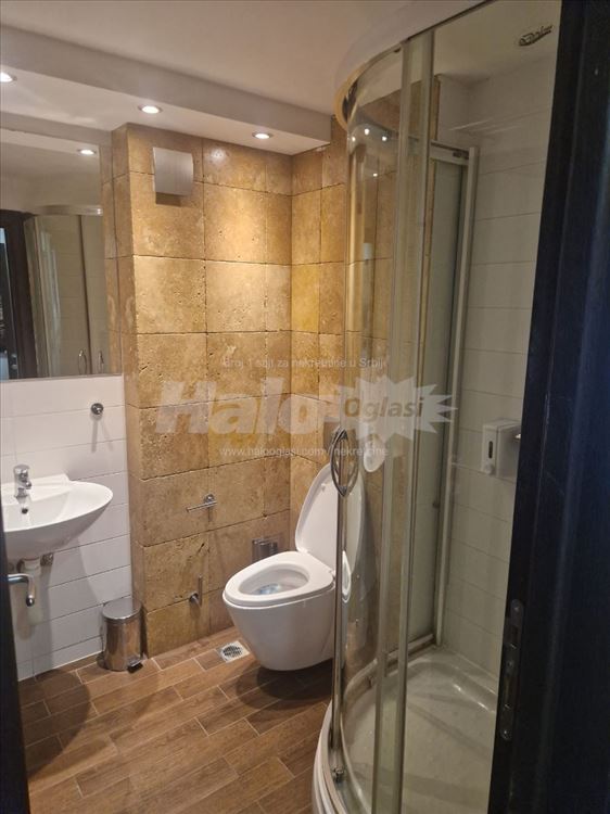 Dedinje-duplex 150m2, dvorište sa bazenom, garaža — 4