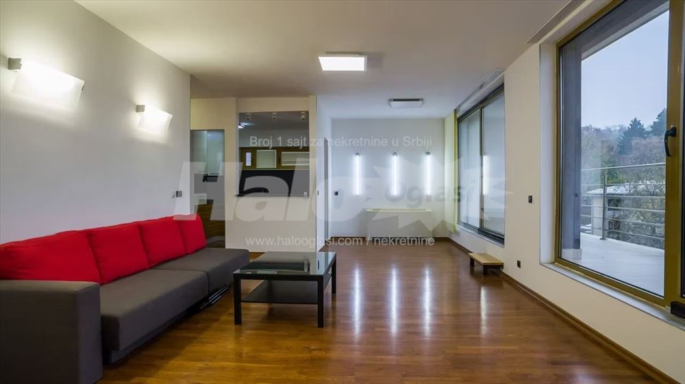 Dedinje poslovno-stambena vila, bez provizije — 4