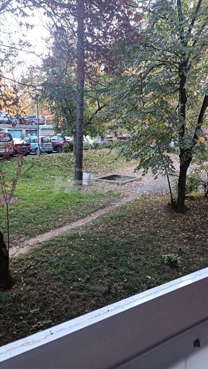 Divan stan sa pogledom na park — 8