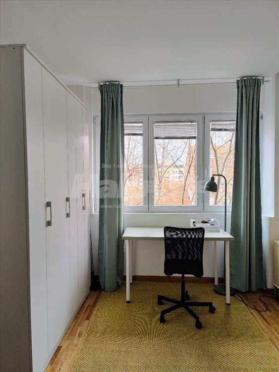 Dorcol, Cara Dusana, 37m2 — 7