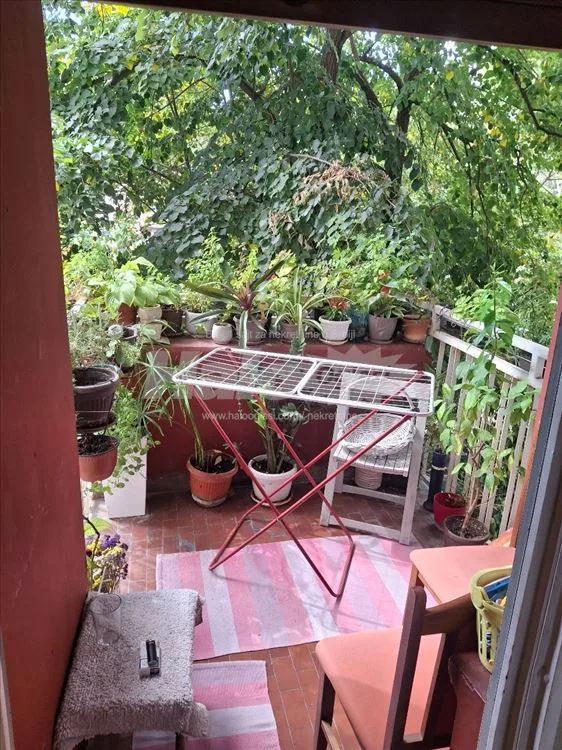 Dorćol 70m2- direktno od vlasnika — 4