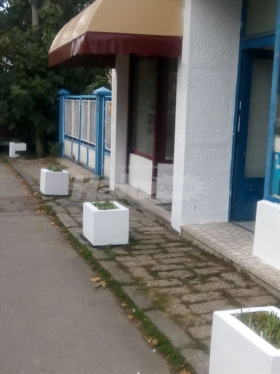 Dusanovac lokal — 11