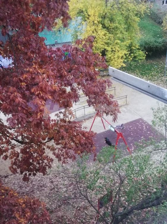 dvosoban odvoje sobe miran kraj na duze parking — 2