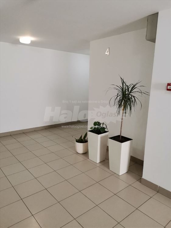 Dvosoban stan 42m2,Mileve Marić Ajnštajn,NBG — 4