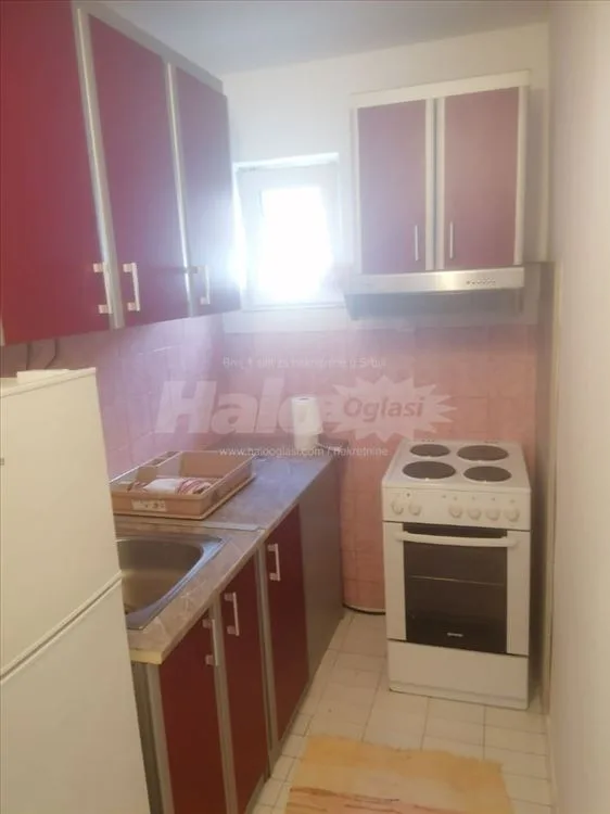 Dvosoban stan sa zasebnim dvorištem - Košutnjak — 7