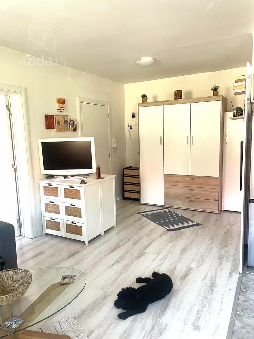 Dvosoban stan za izdavanje, Cvetkova Pijaca, 600€, 45m² — 3
