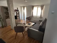 Dvosoban stan za izdavanje, Kruševačka 36, 600€, 50m² — 12