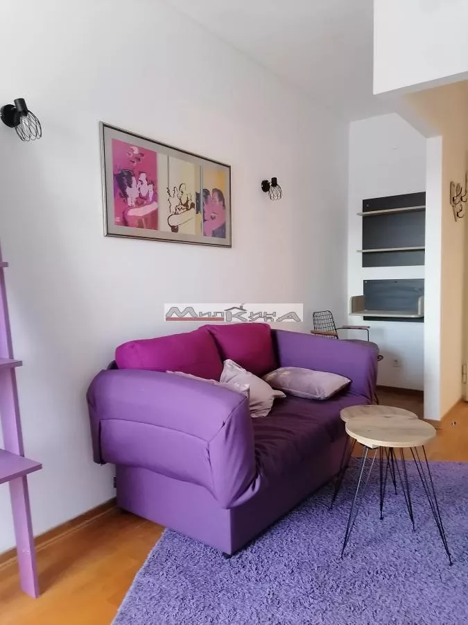 Dvosoban stan za izdavanje, Olge Jovanović 2, 800€, 48m² — 3