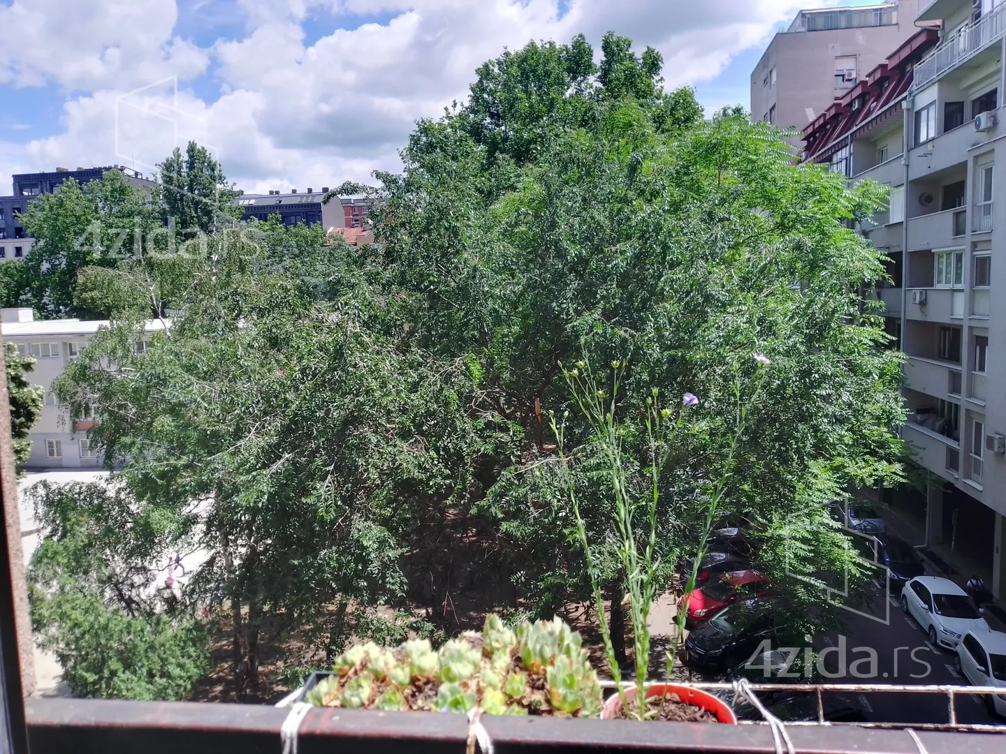 Dvosoban stan za izdavanje, Šajkaška, 500€, 40m² — 13