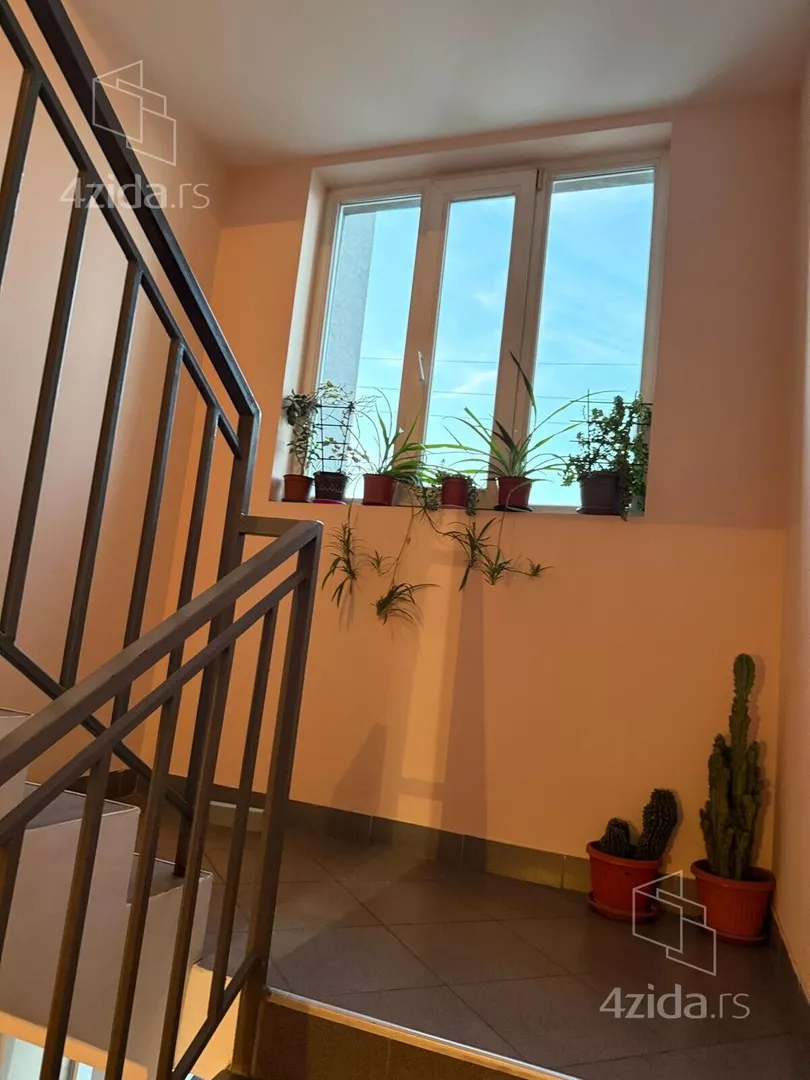 Dvosoban stan za izdavanje, Stojana Pačova, 490€, 49m² — 11