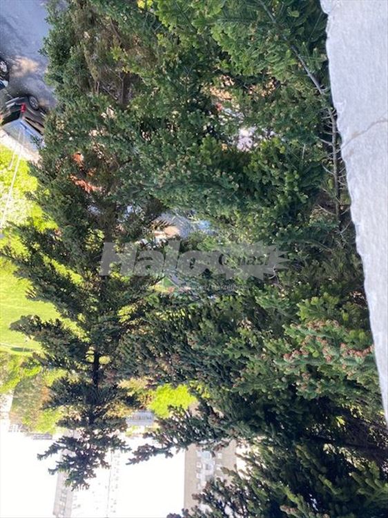 Četvorosoban renoviran stan na Zvezdari — 2