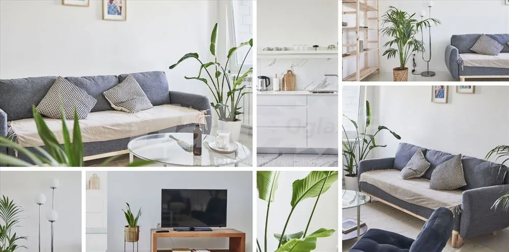 Forest View Apartment — 2