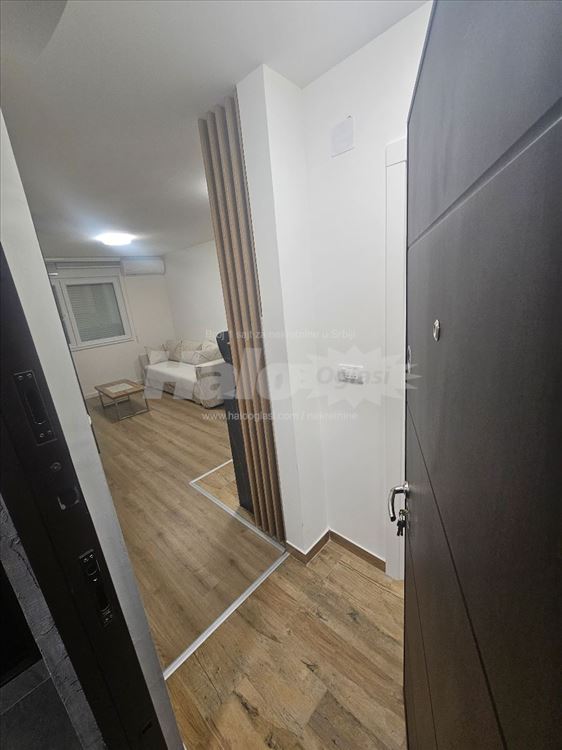 Garsonjera ledine — 5