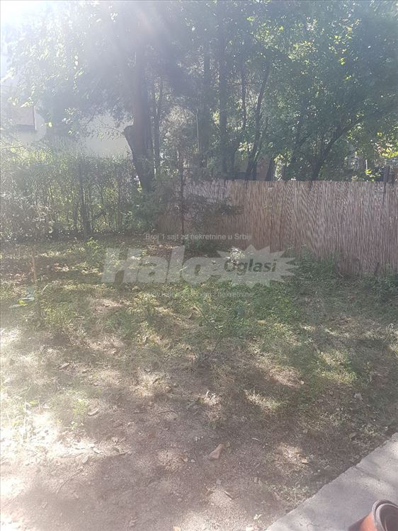 Garsonjera u Kotežu — 2