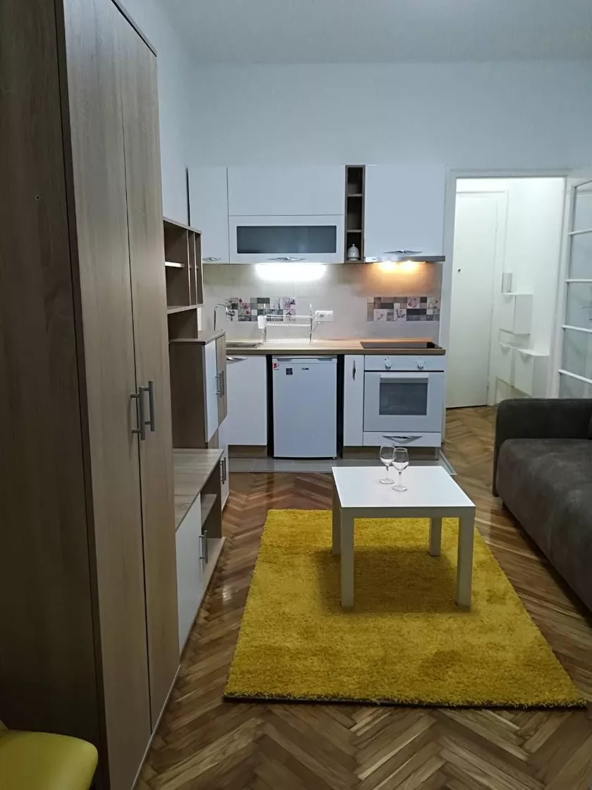 Garsonjera za izdavanje, Niška 18, 400€, 27m² — 3