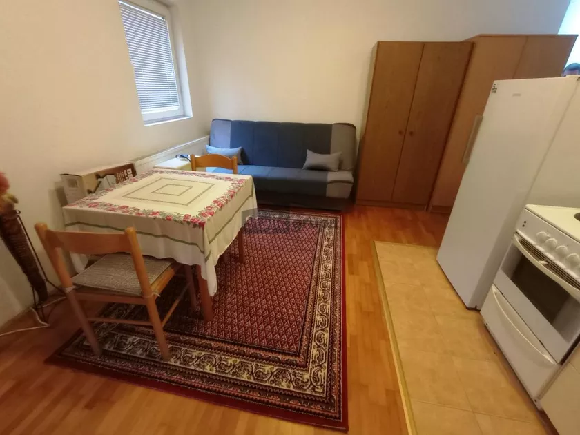 Garsonjera za izdavanje, Roze Luksemburg 12, 250€, 26m² — 3