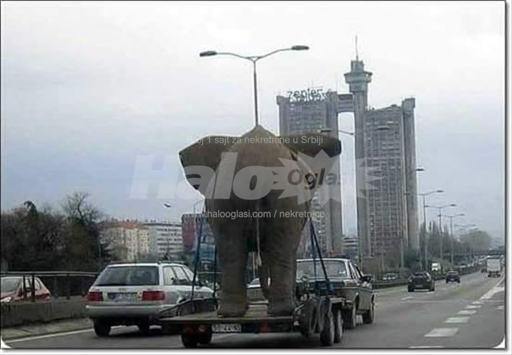 Geneks kula, 42 m2,  renoviran, pogled na B.kosu — 6