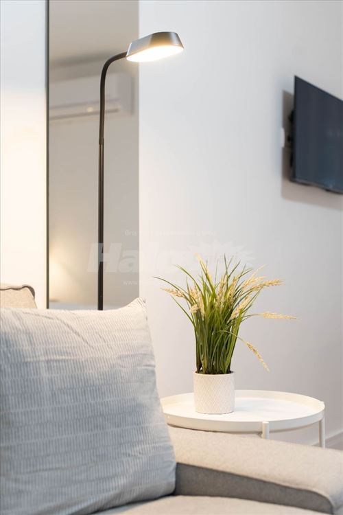 Gornji Dorćol – kompletno renoviran i opremljen st — 8