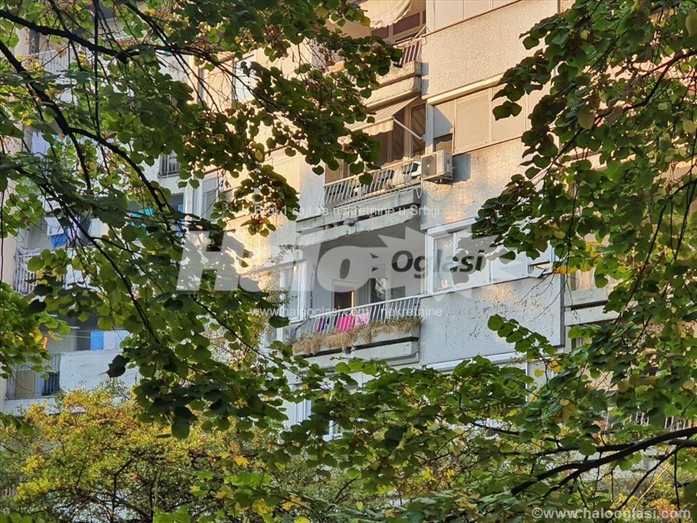 Hotel Srbija, južno orjentisan, pogled na šumu — 8