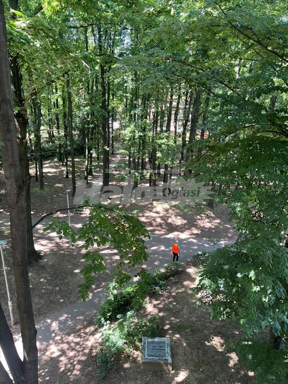 Lux stan- Pogled na park - Uknjiženo — 10