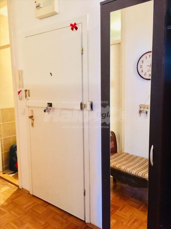 Izdaje se lep stan 55m² u Dušana Vukasovića, NBgd. — 7
