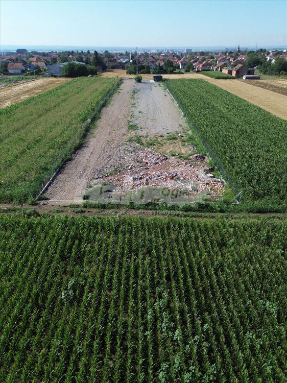 Izdaje se poslovni plac - 50 ari surcin aerodrom — 5