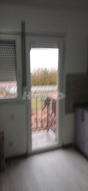 Izdajem garsonjeru kod Farmaceutskog fakulteta — 6