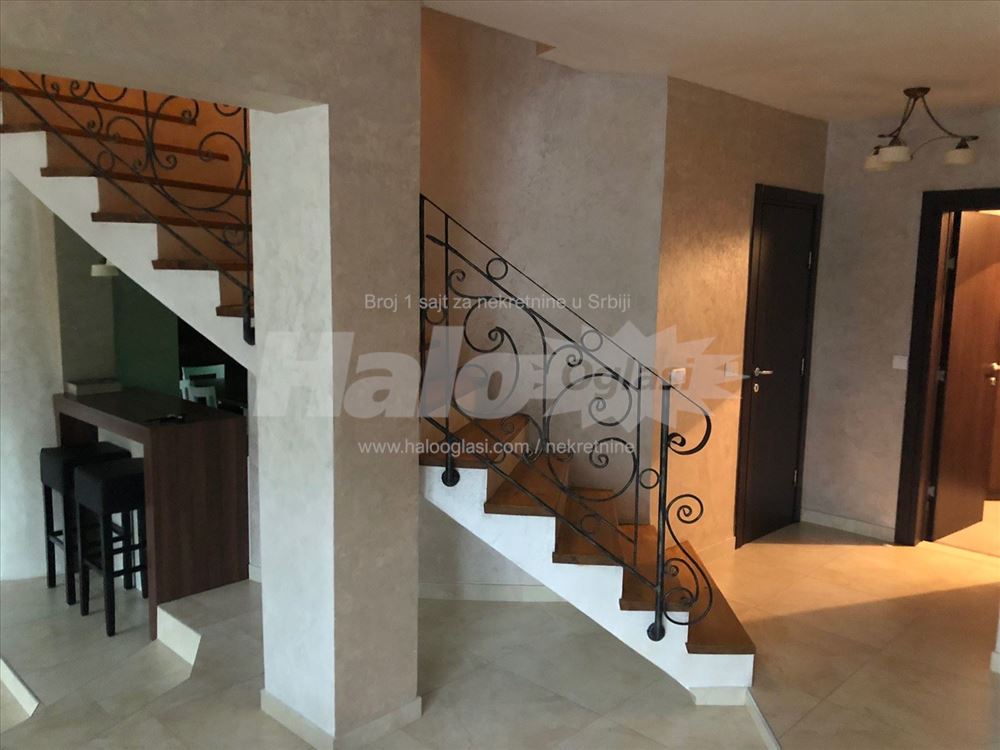 Izdajem kucu 180 m2 Zvezdarska suma — 10